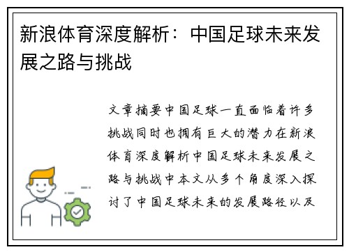 新浪体育深度解析：中国足球未来发展之路与挑战