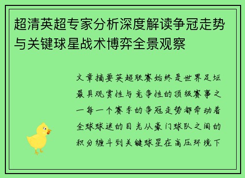 超清英超专家分析深度解读争冠走势与关键球星战术博弈全景观察