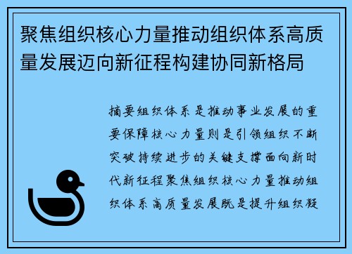 聚焦组织核心力量推动组织体系高质量发展迈向新征程构建协同新格局